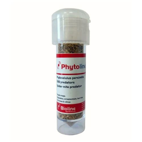 Phytoseiulus X 500 acariens anti acariens