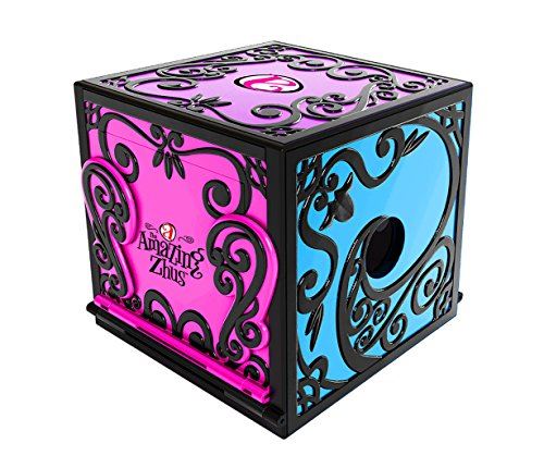 The Amazing Zhus - Disappearing Box