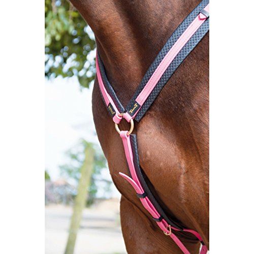 T·De·T - Collier De Chasse Biotack Fuchsia Cheval