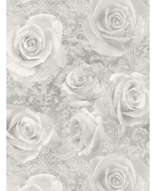 Rêverie Rose Papier peint l'argent Arthouse
