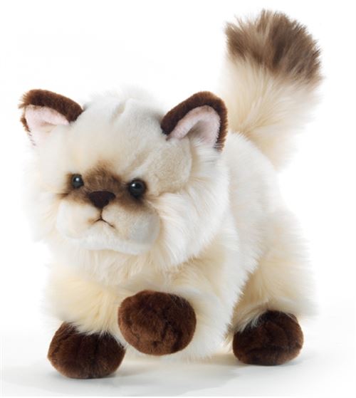 Thaytoo le chat 21 cm