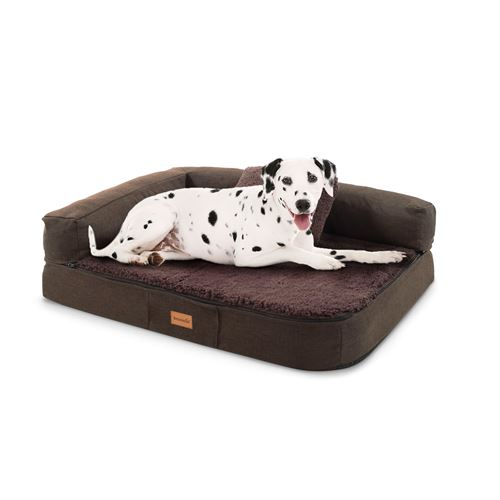 Panier pour chien - Brunolie Odin - Coussin pour chien - Taille M (100 x 12 x 80 cm) - Mousse - Marron