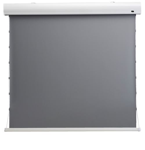celexon Écran de Projection motorisé tensionné Home Cinéma Dynamic Slate ALR sans Bords Noirs - 298 x 168cm - 16:9 - Gain 0,8