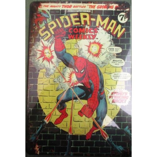 plaque super hero spider man l'homme araignée devant un mur