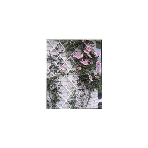 Treillis extensible plastique vert - 100x200cm