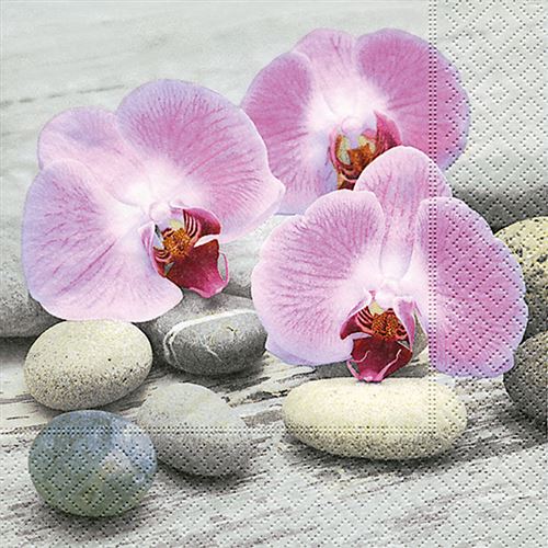 Serviette orchids on stone 20 pièces - graine créative