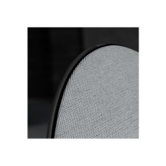 Bang & Olufsen BeoPlay A9 4th Gen - Limited Edition - haut-parleur - sans fil - Ethernet, Fast Ethernet, Wi-Fi, Bluetooth - Contrôlé par application - 1500 Watt - anthracite