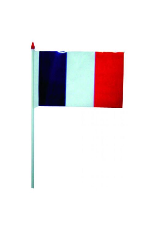 Lot de 10 drapeaux francais - Déguisements et fêtes