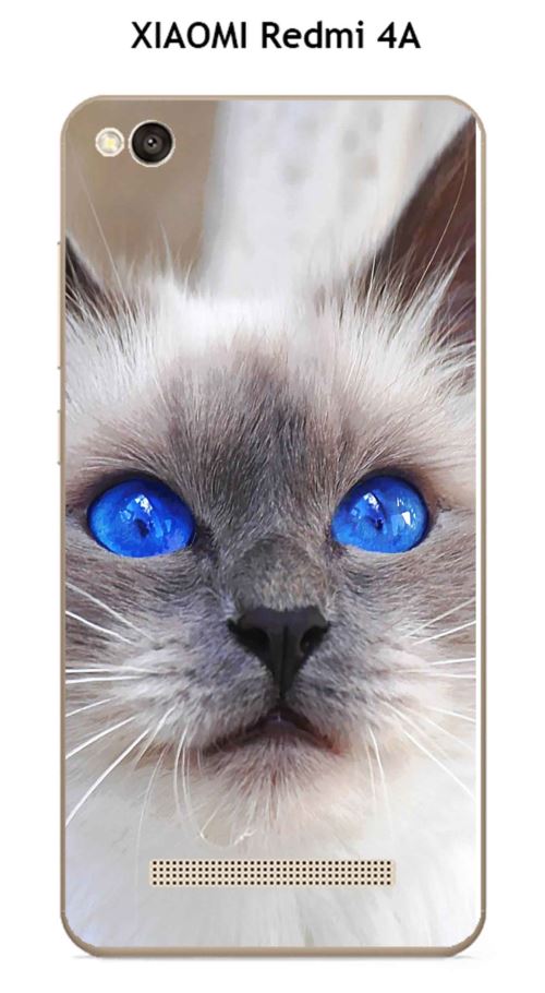 Coque XIAOMI Redmi 4A design Chat siamois aux yeux bleus