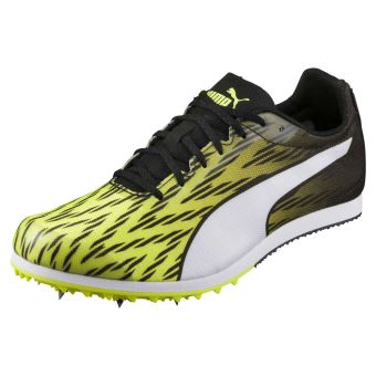 pointes puma
