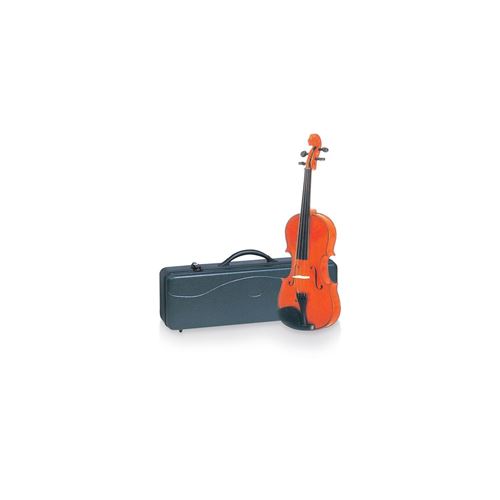DELSON Violon 4/4 avec étui