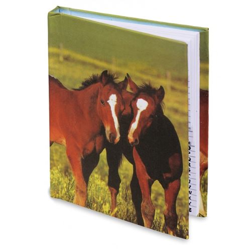 IMPEXIT - Repertoire cheval 10,5/7,5/0,7 cm (b)