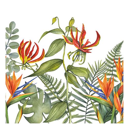 20 serviettes tropicale blanc 33x33cm