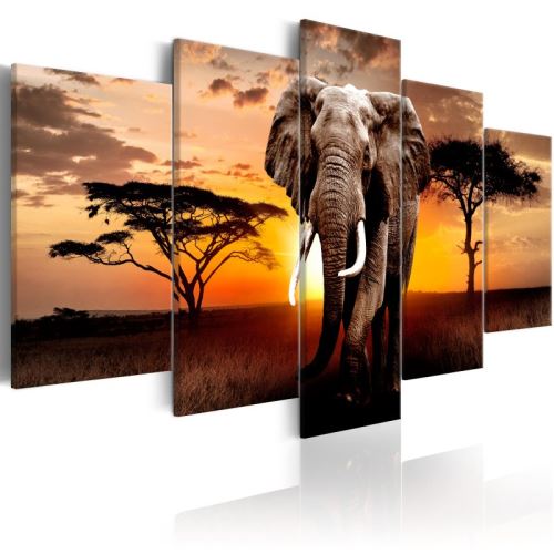 Tableau - Elephant Migration .Taille : 200x100