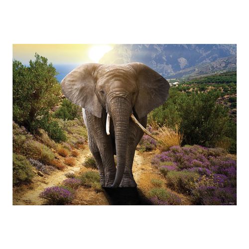 AG Design – Papiers Peints intissé – l'éléphant – Tapisserie Photo – Poster Photo géant – 160x110 cm – 1 lés – FTNM 2671