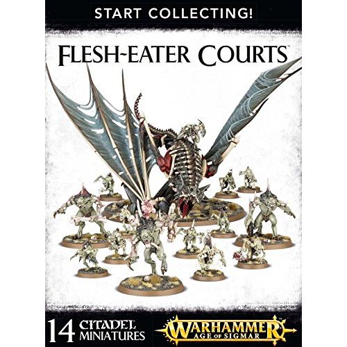 Warhammer Age of Sigmar commence à collectionner les tribunaux de chair à chair
