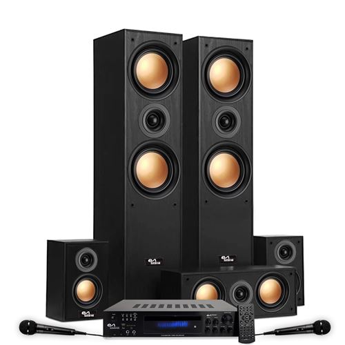 EVIDENCE ACOUSTICS Pack Home-Cin&eacute;ma 5.1 - EA950-PG - 5 enceintes Cuivre 850W, Amplifi&eacute; , USB BT Radio FM - 2 Micros Karaok&eacute;