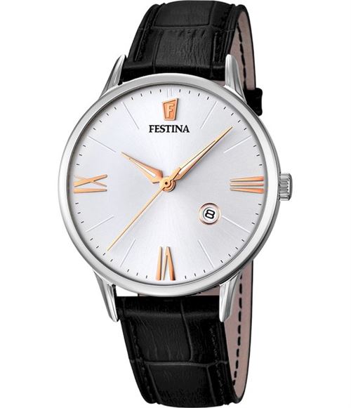 Festina Homme watch F16824-2