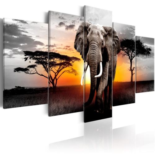 Tableau - Elephant at Sunset .Taille : 200x100