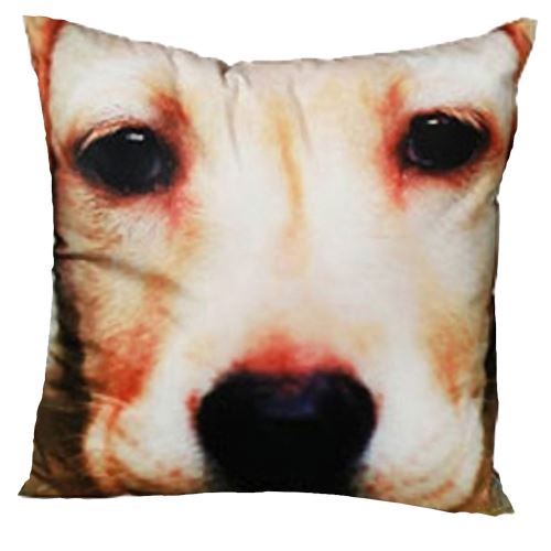 Coussin Carré Chien Déhoussable