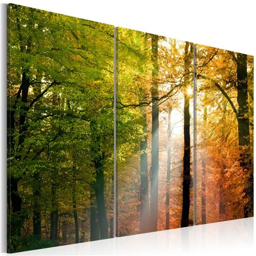 Artgeist - Tableau - Forêt d'automne 60x40