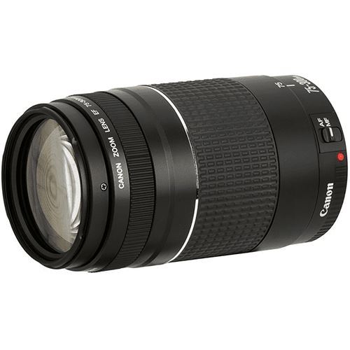 Test de l'objectif Canon EF 75-300mm f/4.0-5.6 III, noir - Gastronomie