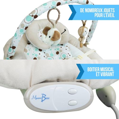 Transat Bebe Vibrant Et Musical Barre A Jouets Et Dossier Inclinable Bulle De Reve Transats Pour Bebe Achat Prix Fnac