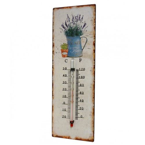L'Héritier Du Temps - Thermomètre mural décoratif en celsius et farenheit ou à poser motif 'nature ancienne' en fer et papier vernis 0,5x8x25cm