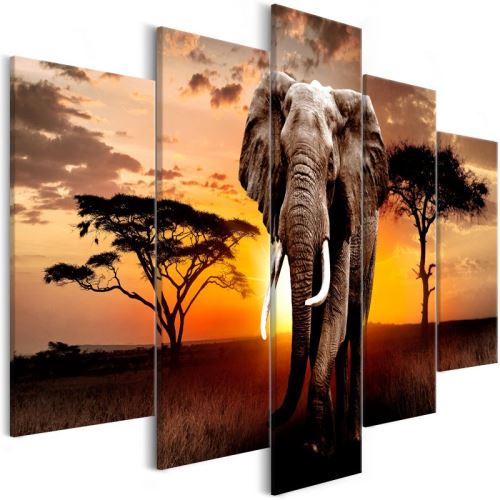 Tableau - Wandering Elephant (5 Parts) Wide .Taille : 225x100