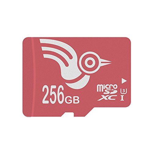 ADROITLARK Carte Micro SD 256 Go Classe 10 U3 Micro SDXC Carte pour Dash Camera Memory Card avec Adaptateur Gratuit (U3 256Go)