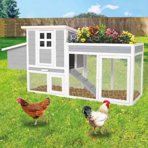 Poulailler Fleuri Gris Avec Pondoir En Bois