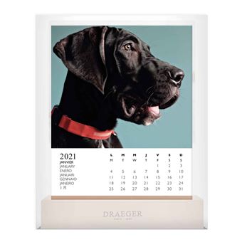 Calendrier sur socle Draeger Chiens 2021