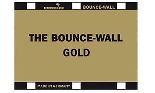 Sunbounce Kit diffuseur avec réflecteur 21 x 29,7 cm (Blanc/doré)