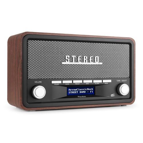 Audizio Foggia Radio Dab+ Portable Stéréo 50W - Gris