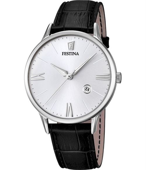 Festina Homme watch F16824-1
