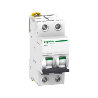 Acti9, iC60L disjoncteur 2P 6A courbe B - 1