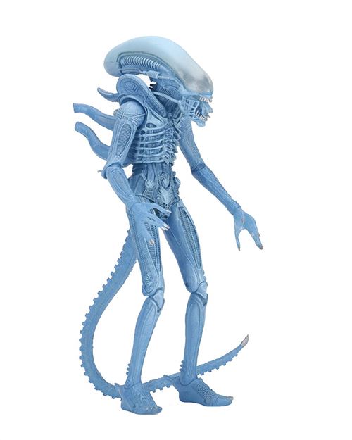 NECA Series 11 Warriop Alien Kenner Figurine, 634482516348