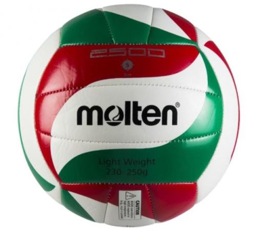 Balón de voleibol de entrenamiento Molten V5M2501-L