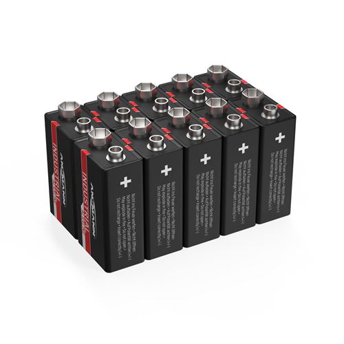 Ansmann Industrial Pile 6LR61 (9V) alcaline(s) 9 V 10 pc(s)