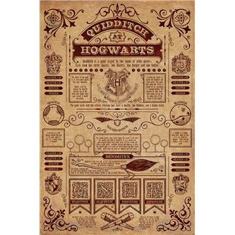 Harry Potter Maxi Poster 61 x 91,5 cm Quotes Plastifié 