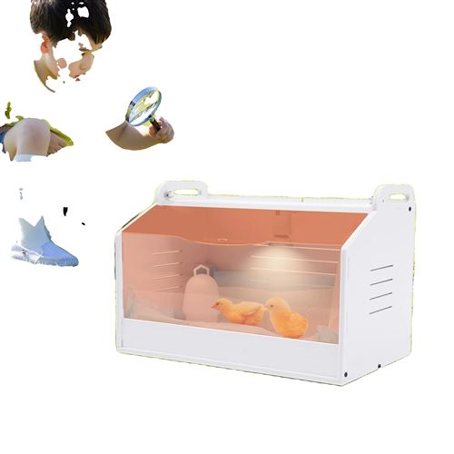 Meilleurs prix pour Incubateur à œufs, capacité de 20 œufs, thermomètre intégré, design compact