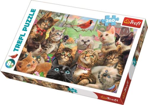 Trefl Puzzle 260 pièces - Pièces XXL - Kittens