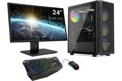 Pack PC Gaming Advanced AMD Ryzen 7 2700, Geforce GTX 1650, 8 Go RAM DDR4, 480Go SSD, 2To HDD, USB 3.1, Wifi,, écran, c/s et Win 10