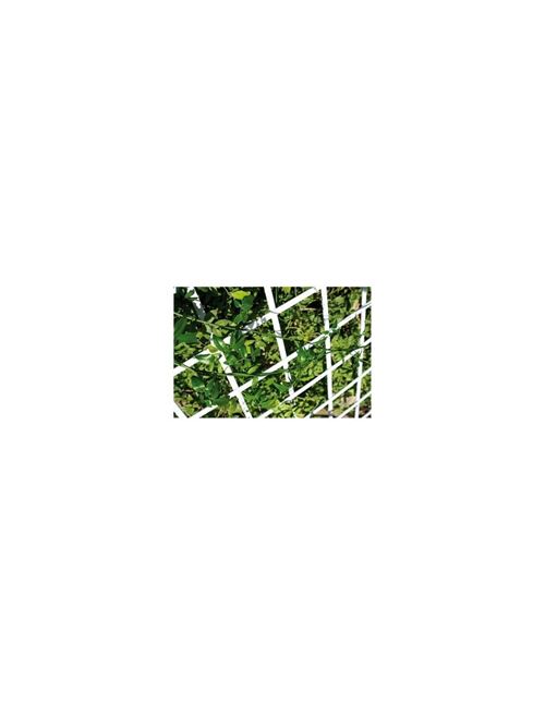 Catral 43060006 – Treillis de décoration en PVC extensible, 1 x 300 x 100 cm, Vert