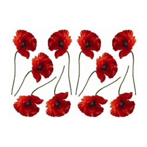 PLAGE Stickers adhésif mural Taille S - Coquelicots2 planches 29,7 x 21 cm, divers motifs