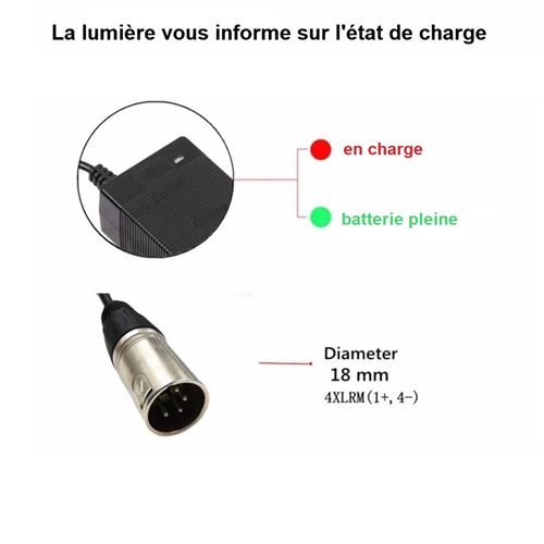 Chargeur pour batterie 36v avec connexion XLR