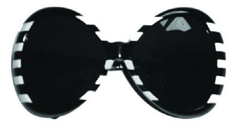 Lunettes mouche