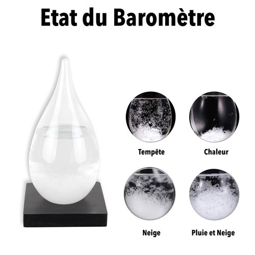 FISHTEC Barometre a Cristaux Storm Glass - Bouteille de Previsions