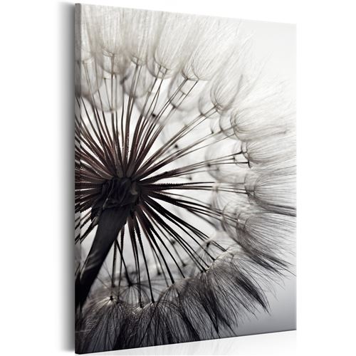 Tableau - Pure Delicacy - Décoration, image, art | Fleurs variées | 40x60 cm |
