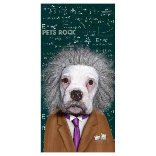 Serviette Animaux Rock Dog Einstein